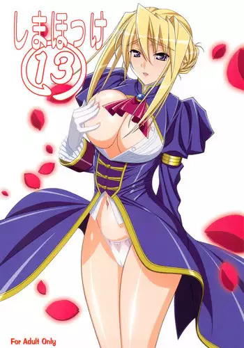 (C79) [SHIMAHOKKE (Kuroda Kazuya)] Shimahokke 13 (Princess Lover!, Akisora)