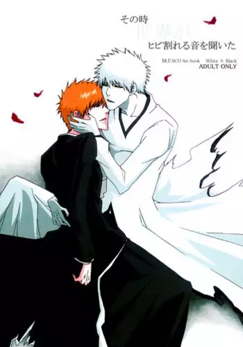 [Gyoukou (Rioka Masaki)] Sonotoki Sekai ga Hibi Wareru Oto o Kiita (Bleach) [English] [Strawberry Poison]