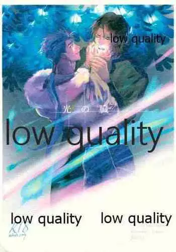 (SUPER26) [Muri Yari (Gibachi)] Hikari no Zou (Fate/stay night)