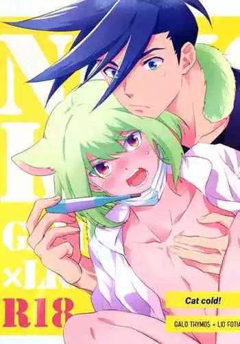 Neko Kaze! | Cat cold!