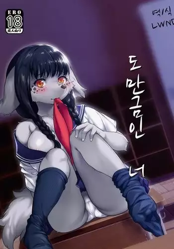 Miyakowasure no Kimi