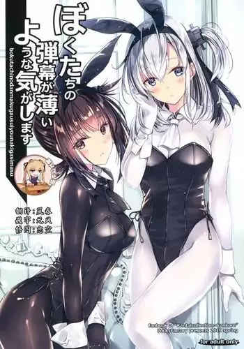 Boku-tachi no Danmaku ga Usui You na Ki ga Shimasu