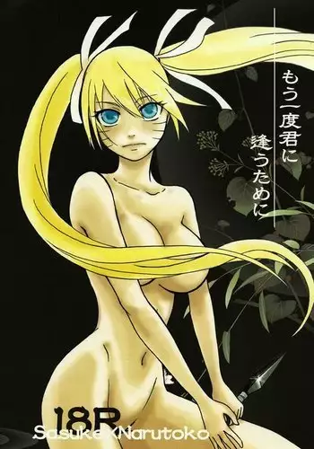 Mou Ichido Kimi ni Au tame ni