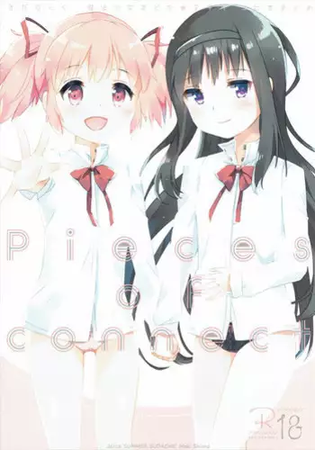 (C90) [Sudachic (Shiono Maki)] Pieces of connect (Puella Magi Madoka Magica)