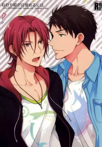 Nemuri Hime ga Mezameru ni wa | Waking Up Sleeping Beauty