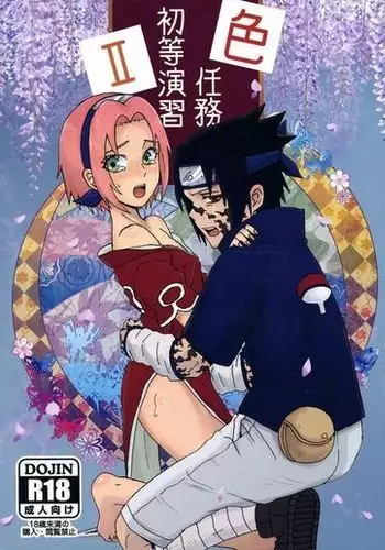 Iro Ninmu Shotou Enshuu 2