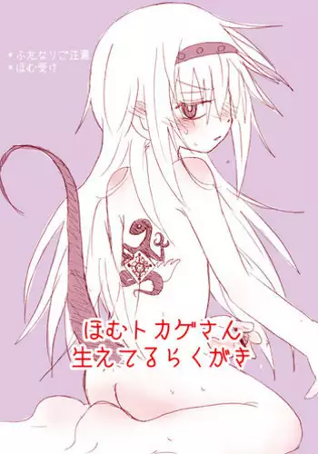 [ハチウルフ] Homu Tokage (Puella Magi Madoka Magica)