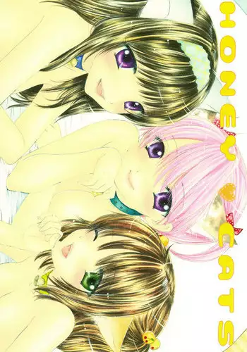 HONEY CATS