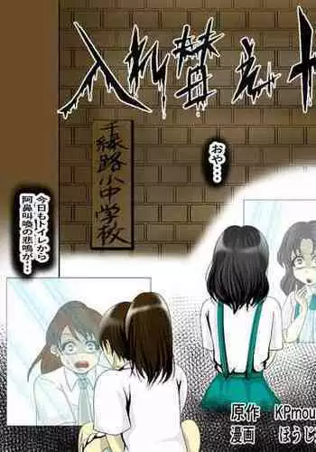 The Mysterious Swap Toilet