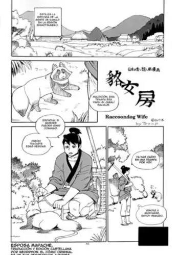 Mujina Nyoubou | Raccoondog Wife