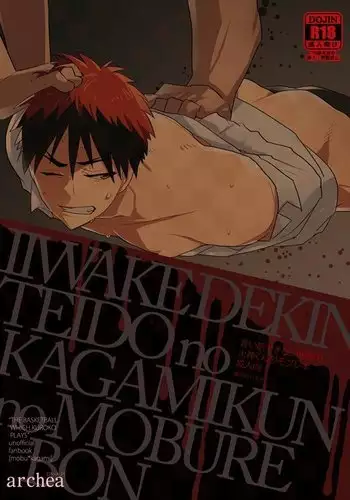 Iiwakedekinai Teido no Kagamikun no Mobure Bon