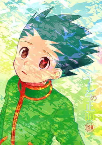 (C86) [Irori (Yui)] Ushiro no Shoumen (Hunter x Hunter)