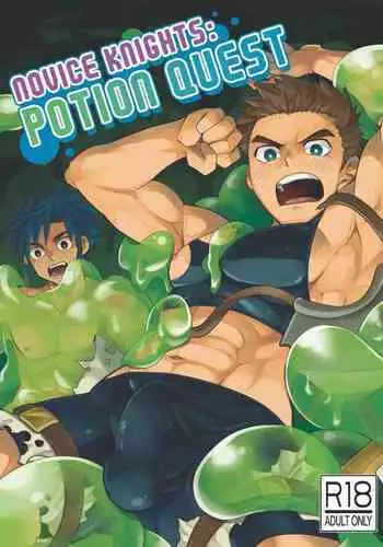 Shinmai Kishi no Reiyaku Choutatsu