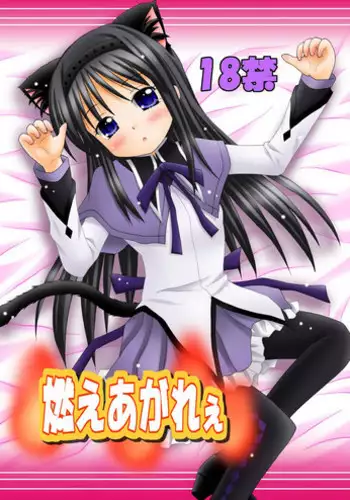 [Onnanoko MIX (Hirokane Tetsudou)] Moeagaree (Puella Magi Madoka Magica) [Digital]