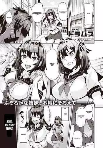 [Dramus] Dual Swap [English] [Trash Appli Translation]