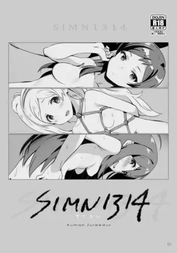 SIMN314